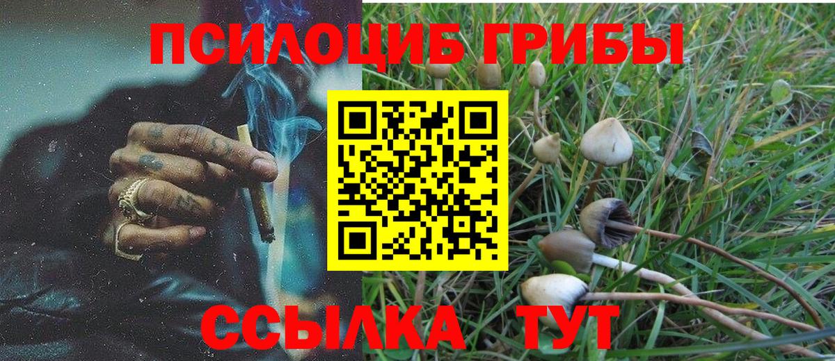 Галлюциногенные грибы Cubensis  Псилоцибиновые грибы Psilocybine cubensis  Златоуст  Вход с VPN 