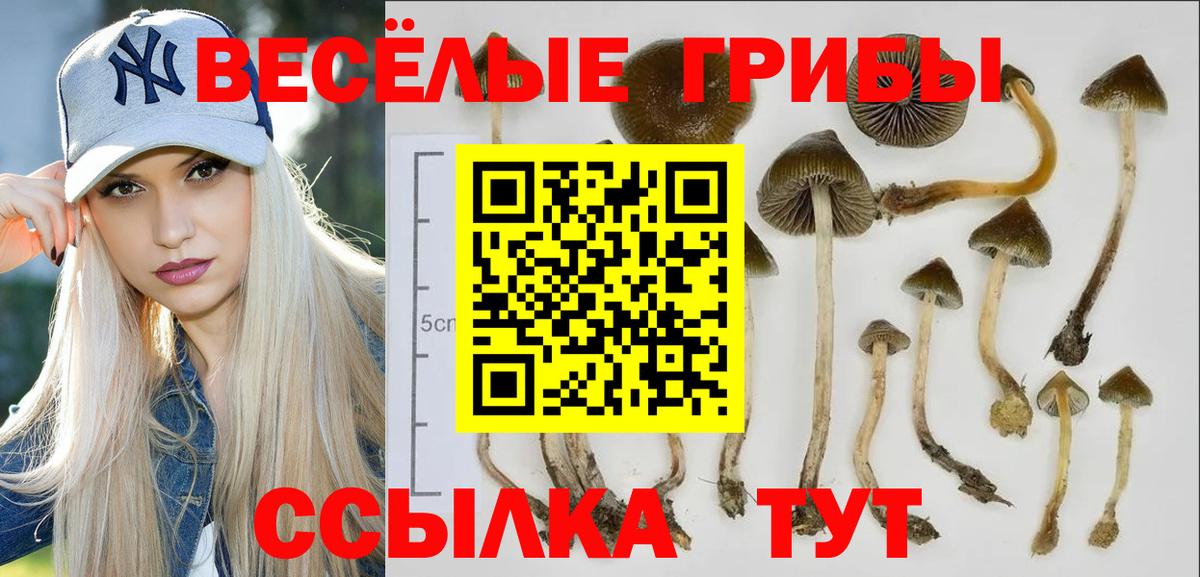 Псилоцибиновые грибы мухоморы Златоуст